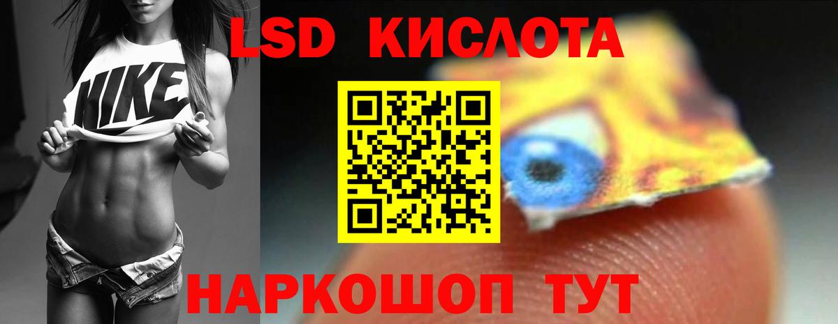 Курчалой  Лсд 25 экстази кислота  Лсд 25 экстази  Вход с VPN  Лсд 25 экстази ecstasy 