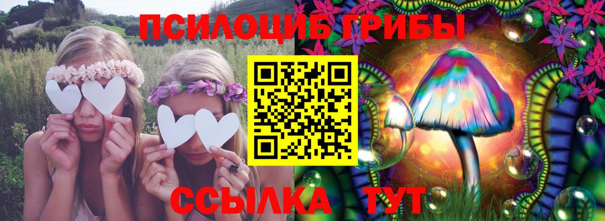 Курчалой  ГАШ  Вход с VPN  Мефедрон   Марихуана  ТГК 