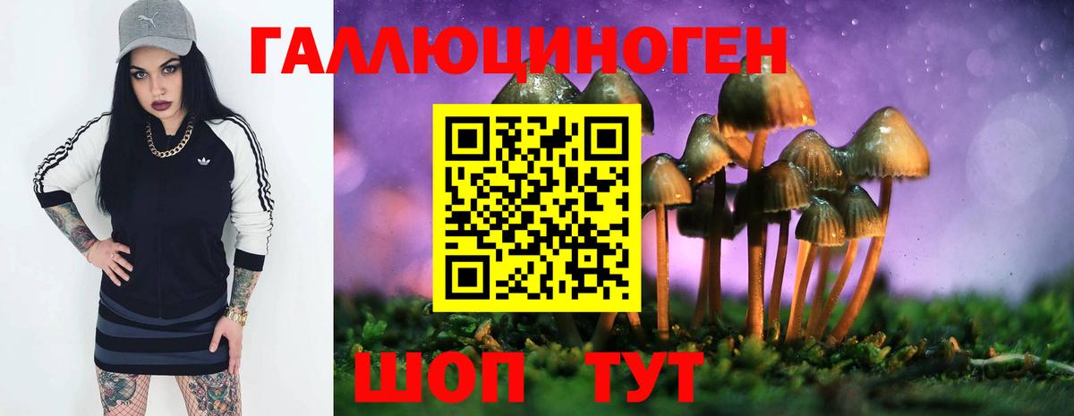 Галлюциногенные грибы ЛСД Курчалой